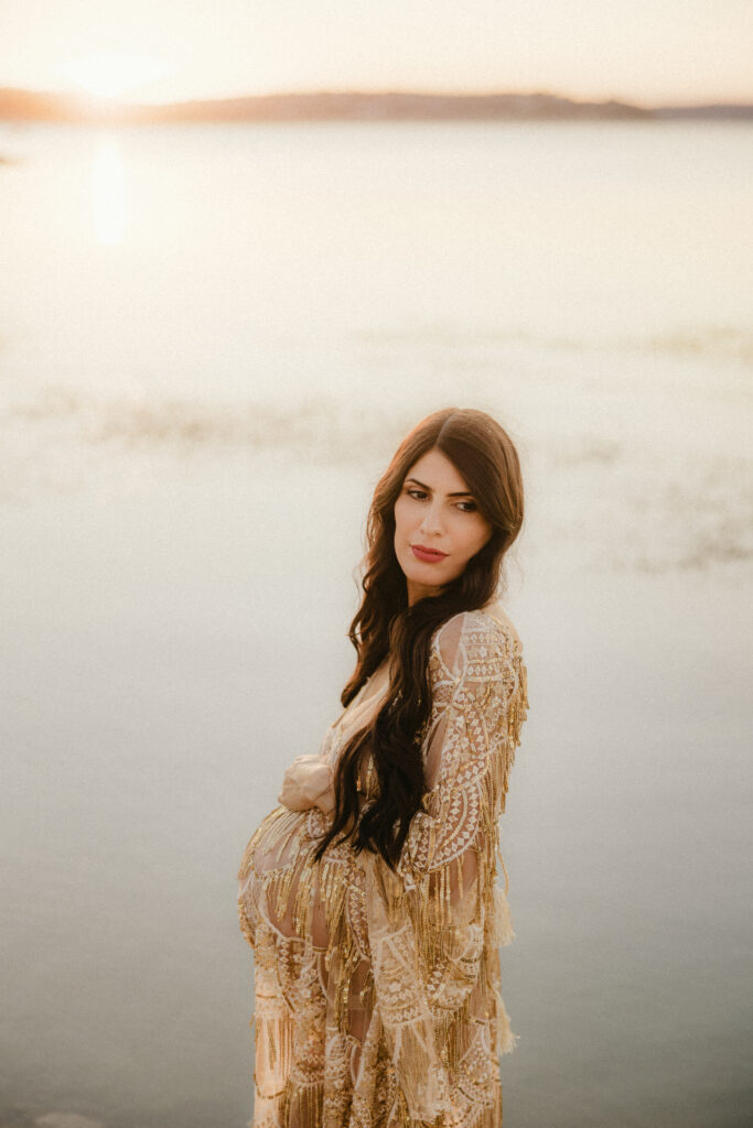 Moody portrait of a pregnant mom at sunset. 